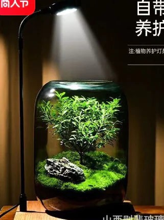 Eco Bottle Potted Flowers (One Set)