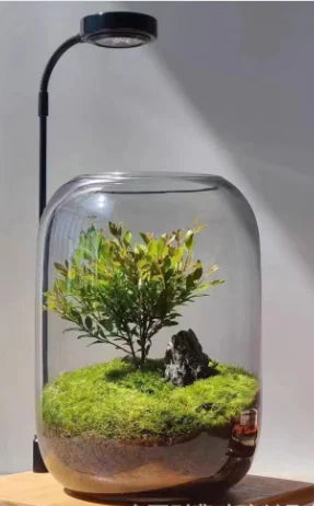 Eco Bottle Potted Flowers (One Set)
